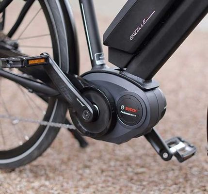 Bafang Central Motor 25KM/h 8.8AH Lithiumbatterie OEM CE Elektro-Stadt-Ladenträger