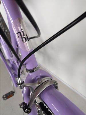 KMC Kette 26 Zoll Europa OEM CE Shimano 7 Geschwindigkeiten Frauen Lady City Bike 1,8m Länge