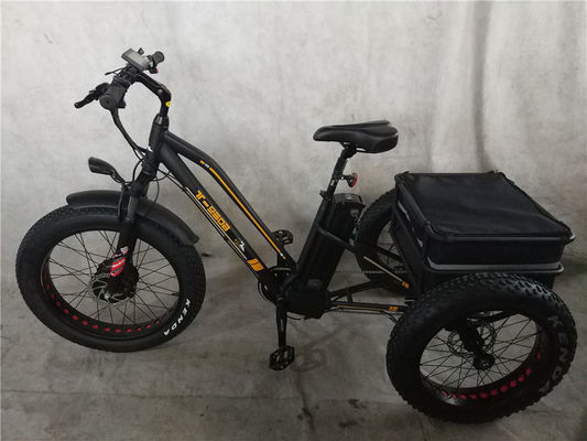 Maximalgeschwindigkeit 50km/h 8Fun 750W Frontmotor 4.0 Fettreifen Ladewagen Elektro Trike Dreirad 3 Räder