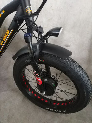 Maximalgeschwindigkeit 50km/h 8Fun 750W Frontmotor 4.0 Fettreifen Ladewagen Elektro Trike Dreirad 3 Räder