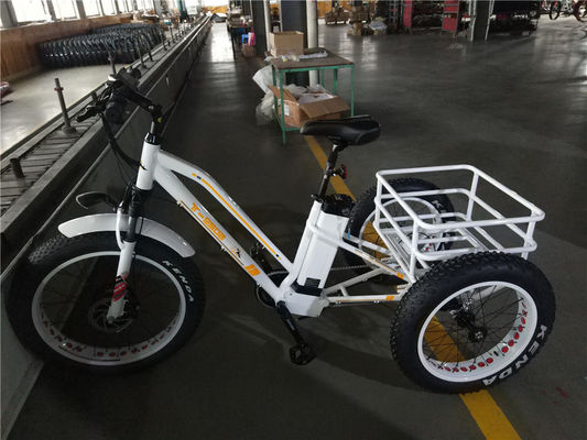 Maximalgeschwindigkeit 50km/h 8Fun 750W Frontmotor 4.0 Fettreifen Ladewagen Elektro Trike Dreirad 3 Räder
