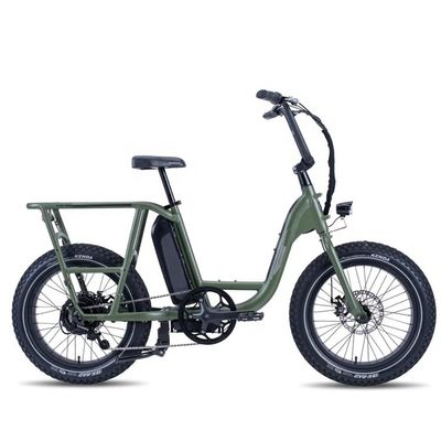 20" 7 Geschwindigkeiten 50KM/H Elektrofahrrad mit 48V 1000W Hintermotor und 17AH Lithiumbatterie