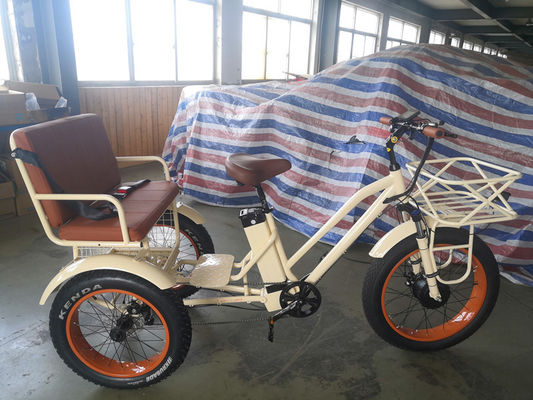 750 Watt Zentralmotor Fettreifen Elektro-Rikscha mit Aluminiumträger und Fahrgastsitz
