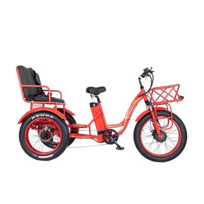 48V E Trike 3 Rad 750 Watt Fettreifen Rikscha mit Bafang 750W Motor und Leistung