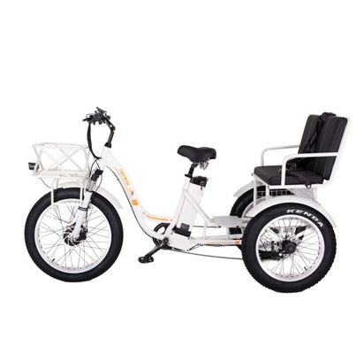 48V E Trike 3 Rad 750 Watt Fettreifen Rikscha mit Bafang 750W Motor und Leistung