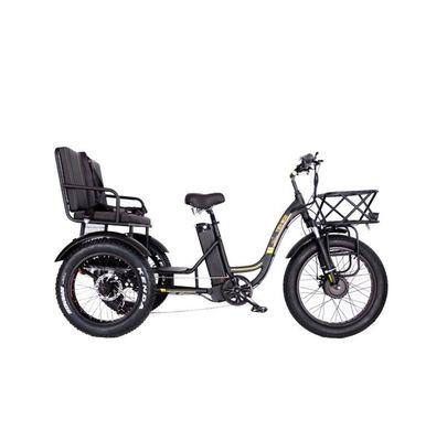 48V E Trike 3 Rad 750 Watt Fettreifen Rikscha mit Bafang 750W Motor und Leistung