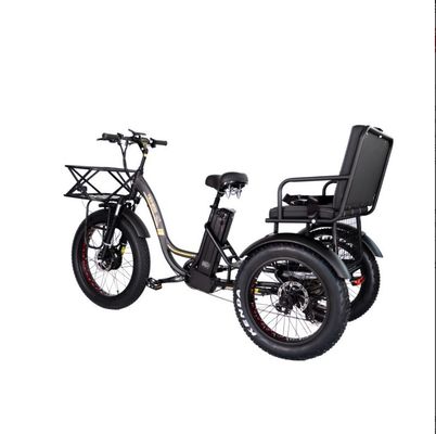 48V E Trike 3 Rad 750 Watt Fettreifen Rikscha mit Bafang 750W Motor und Leistung
