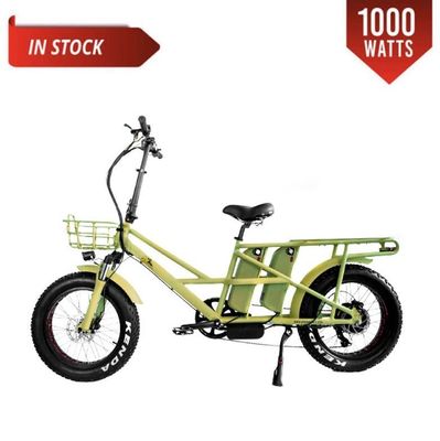 48 V elektrischer Dualmotor 1000 Watt Langstrecken-Fettreifen-Ladegerät E-Bike mit schneller Ladung