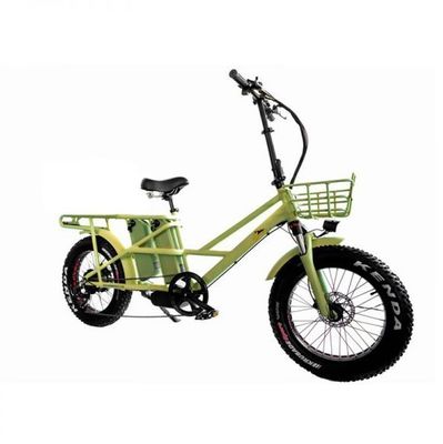 48 V elektrischer Dualmotor 1000 Watt Langstrecken-Fettreifen-Ladegerät E-Bike mit schneller Ladung