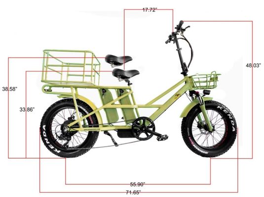 48 V elektrischer Dualmotor 1000 Watt Langstrecken-Fettreifen-Ladegerät E-Bike mit schneller Ladung