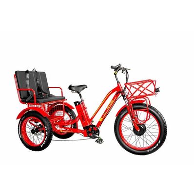48 V elektrischer Dualmotor 1000 Watt Langstrecken-Fettreifen-Ladegerät E-Bike mit schneller Ladung