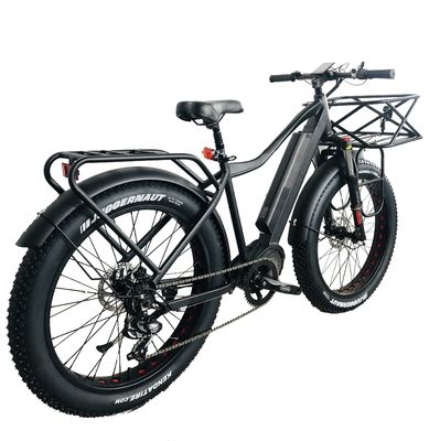 US-Markt EN15194 CPSC 48V 1000W 17AH Elektro Mountainbike mit Bafang Mittelmotor