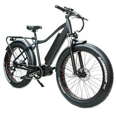 US-Markt EN15194 CPSC 48V 1000W 17AH Elektro Mountainbike mit Bafang Mittelmotor