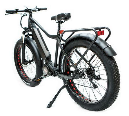 US-Markt EN15194 CPSC 48V 1000W 17AH Elektro Mountainbike mit Bafang Mittelmotor