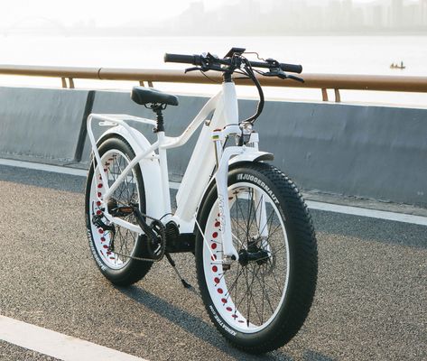 US-Markt EN15194 CPSC 48V 1000W 17AH Elektro Mountainbike mit Bafang Mittelmotor