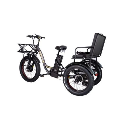 16.7 Ah Batteriekapazität 750 WATT Schwerlast-Rikscha Elektro-Dreifahrrad für Fahrgäste