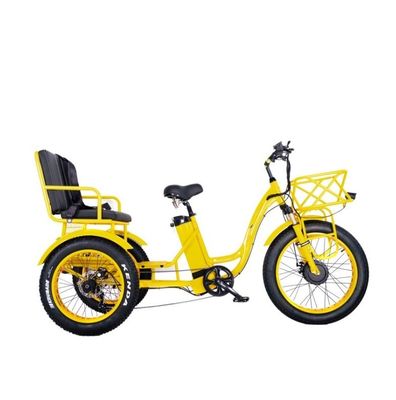 16.7 Ah Batteriekapazität 750 WATT Schwerlast-Rikscha Elektro-Dreifahrrad für Fahrgäste
