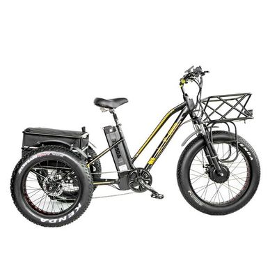 16.7 Ah Batteriekapazität 750 WATT Schwerlast-Rikscha Elektro-Dreifahrrad für Fahrgäste