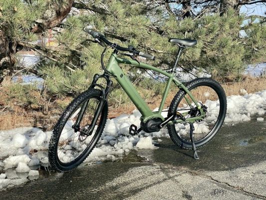 26&quot; 48V 500W Elektro Beach Cruiser Bike mit Shimano 7 Geschwindigkeiten und 14AH Lithium Batterie