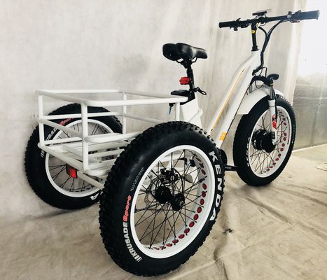 48V 14AH Hinterkorb 4.0 Schneedeckel Elektro-Frachtdreirad mit USA CE-Zertifizierung