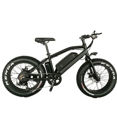 20&quot; Aluminium Alloy Frame Boy Mini 48V 4.0 USA CE 750W Kid Mountain Elektrobike