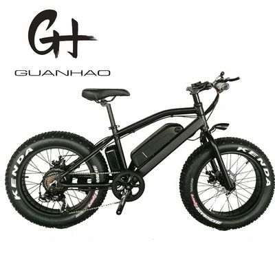 20&quot; Aluminium Alloy Frame Boy Mini 48V 4.0 USA CE 750W Kid Mountain Elektrobike