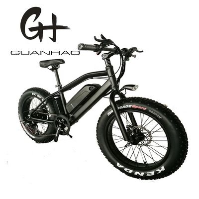 20&quot; Aluminium Alloy Frame Boy Mini 48V 4.0 USA CE 750W Kid Mountain Elektrobike