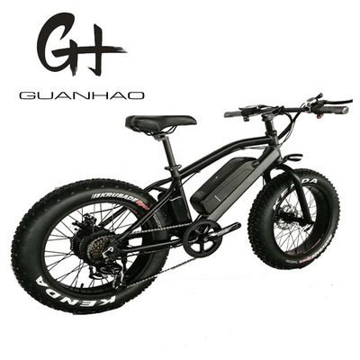 20&quot; Aluminium Alloy Frame Boy Mini 48V 4.0 USA CE 750W Kid Mountain Elektrobike