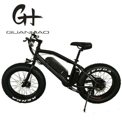 20&quot; Aluminium Alloy Frame Boy Mini 48V 4.0 USA CE 750W Kid Mountain Elektrobike