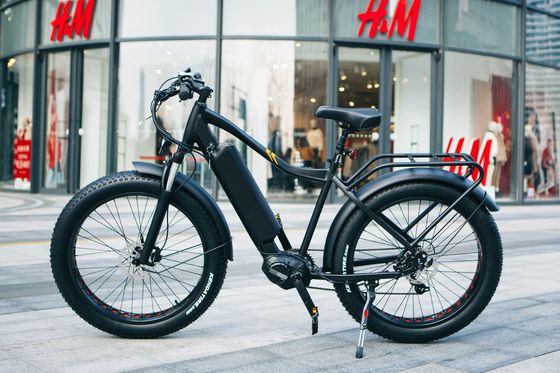 500watt 17AH Batterie 8Fun Mittelmotor M600 26&quot; 4.0 Schneedeckel Elektro Mountainbike