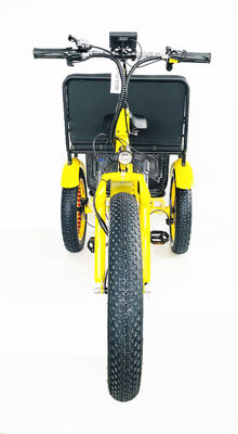 24-Zoll-Schnee-Fettreifen 4.0 Elektro-Rikscha-Dreirad mit 48V 750W Motor und Rücksitz