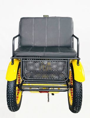 24-Zoll-Schnee-Fettreifen 4.0 Elektro-Rikscha-Dreirad mit 48V 750W Motor und Rücksitz