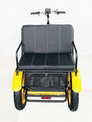 24-Zoll-Schnee-Fettreifen 4.0 Elektro-Rikscha-Dreirad mit 48V 750W Motor und Rücksitz