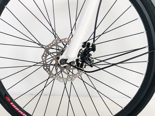 28 Zoll City Bike 36V250W Lithiumbatterie 14AH EN15194 EN15194 für Frauen Lady USA Europa