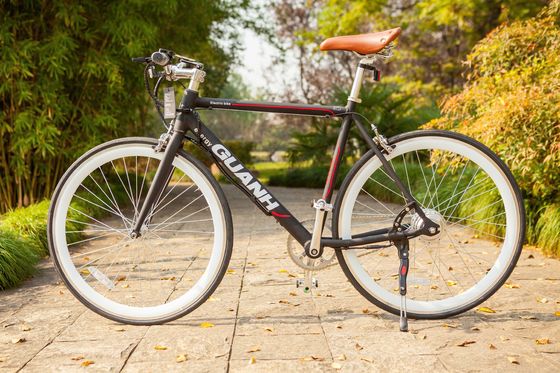 700C Aluminium Elektrofahrrad CE EN15194 Zertifiziert 36V 350W Motor 10,8AH versteckte Lithiumbatterie