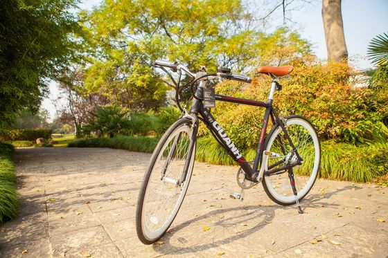 700C Aluminium Elektrofahrrad CE EN15194 Zertifiziert 36V 350W Motor 10,8AH versteckte Lithiumbatterie