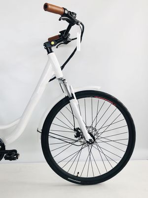 USA USD390 500W 48V 14AH Elektro-Lady-Fahrrad mit 7-Gang- und LCD-Display