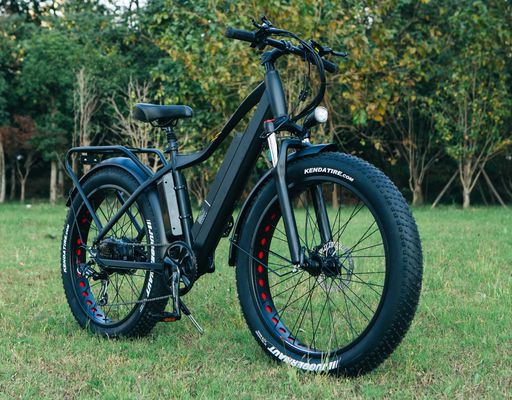 Beste 1000W Elektro-Fettreifen-Fahrrad 26&quot; Elektro-Fahrrad mit 17Ah-Batterie