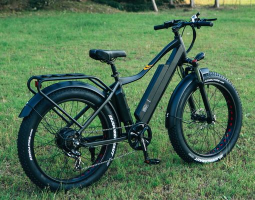 Beste 1000W Elektro-Fettreifen-Fahrrad 26&quot; Elektro-Fahrrad mit 17Ah-Batterie