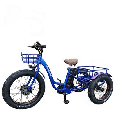 Bremse Tektro Disc Bremssatz 24 Zoll Fettreifen Erwachsener 3-Rad 48V1000W Elektro-Ladenträger