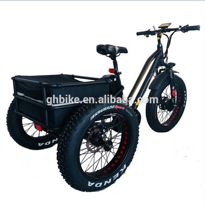 USA Markt BAFANG Sensor Elektro-Dreifahrräder mit drei Rädern und hydraulischer Scheibenbremse