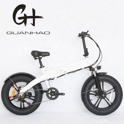 20 &quot;Radgröße 500W EN15194 Klappbare Fettreifen Elektrofahrrad für Black Friday Angebot