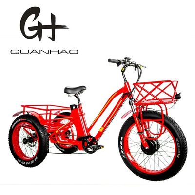 48V 750W Frontmotor 24&quot; Erwachsener Elektro Dreirad mit 17AH Lithium-Batterie und Fat Snow Reifen