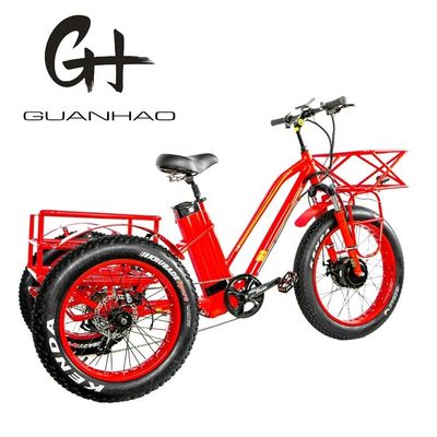 48V 750W Frontmotor 24&quot; Erwachsener Elektro Dreirad mit 17AH Lithium-Batterie und Fat Snow Reifen