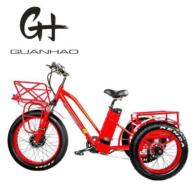 48V 750W Frontmotor 24&quot; Erwachsener Elektro Dreirad mit 17AH Lithium-Batterie und Fat Snow Reifen