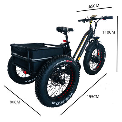 48V 750W Frontmotor 24&quot; Erwachsener Elektro Dreirad mit 17AH Lithium-Batterie und Fat Snow Reifen