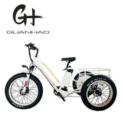 Öffnen Körper Typ 24 Zoll 20 Zoll BAFANG Front Motor Elektro Dreirad für Erwachsene 48V21AH 750W