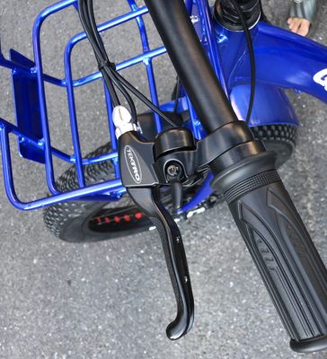 Fahren Typ Elektro 24&quot;x4.0 Fettreifen Elektrische Ladung Dreirad mit 48V 1000w Motor