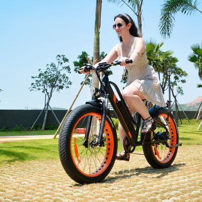 750W 50KM/H A2B CE Chinesisch OEM 48V Motor Fettreifen Elektro-Bergrad Gut Schön