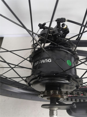 24-Zoll-Lange-Rahmen-Elektro-Strandfahrrad mit 48-Volt-Bürstenlos-Motor und 3,0-Fettreifen